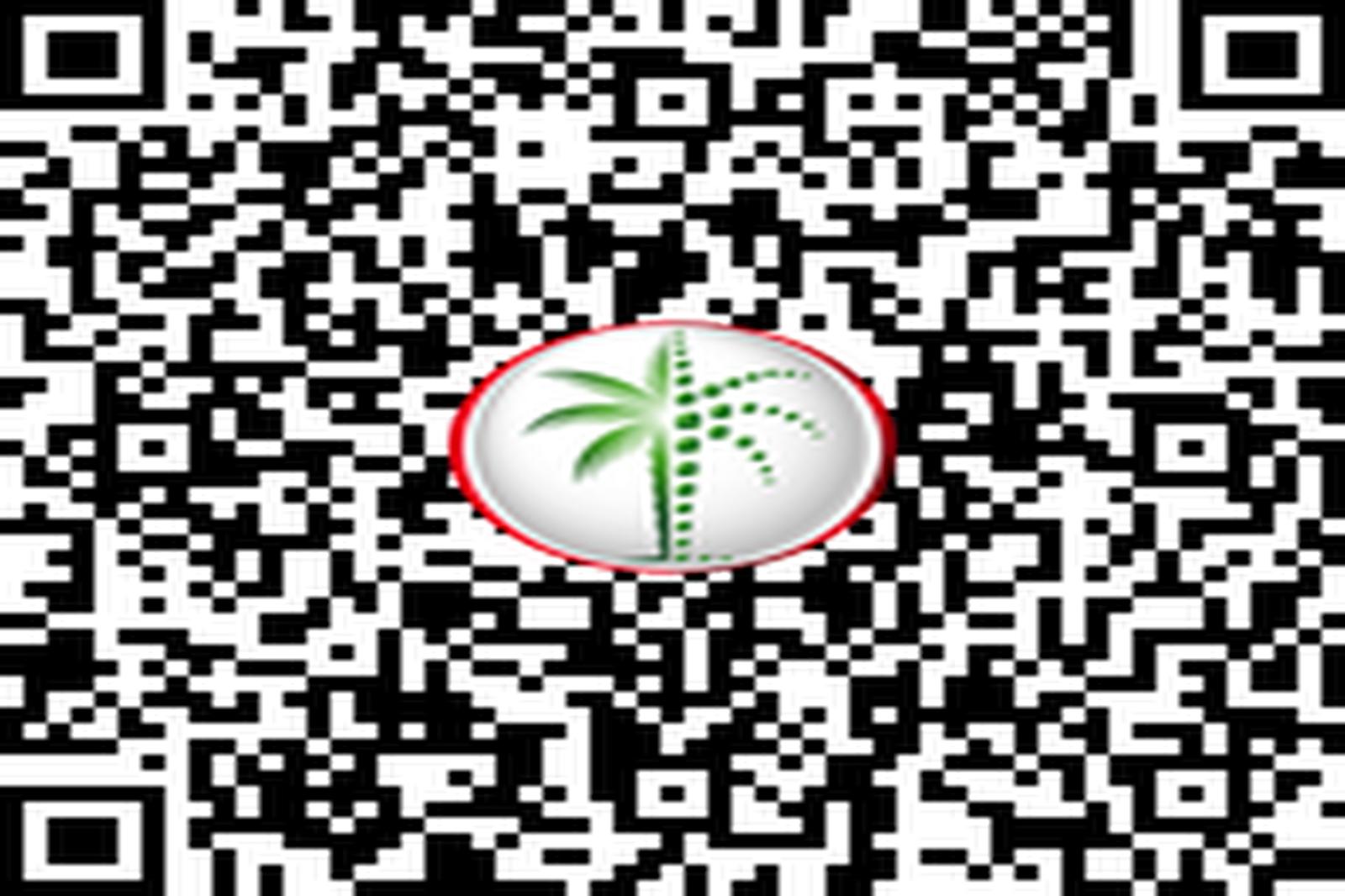 5 Star Hotel Furnished|Serviced |Palm and Sea View