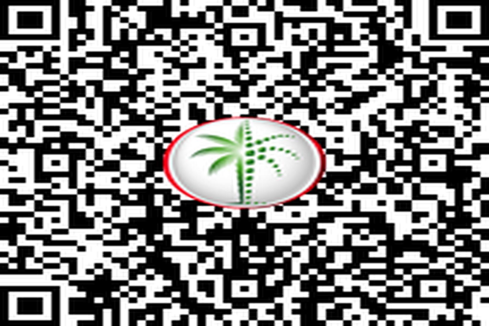 Fully Upgraded | 70+ Floor | Palm View