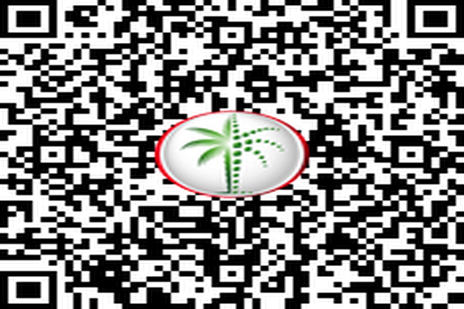 High Floor | Palm View | Luxury Living