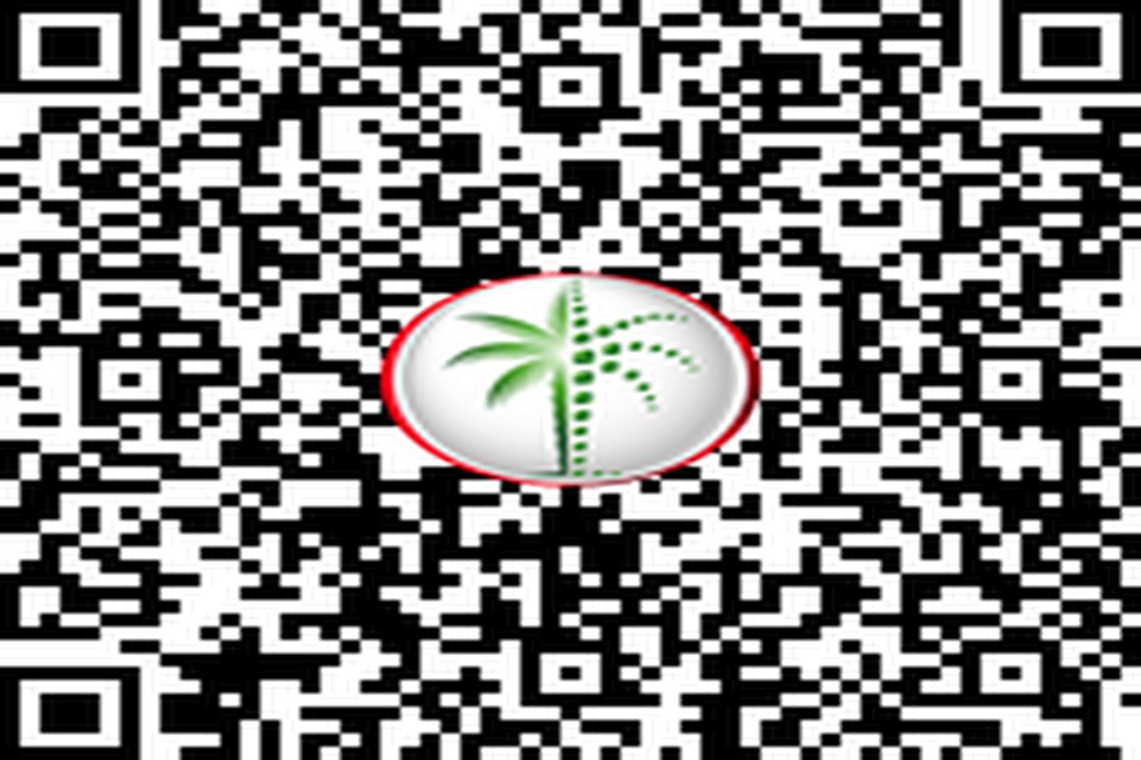 Exclusive|High Floor|Full Sea and Ain Dubai Views