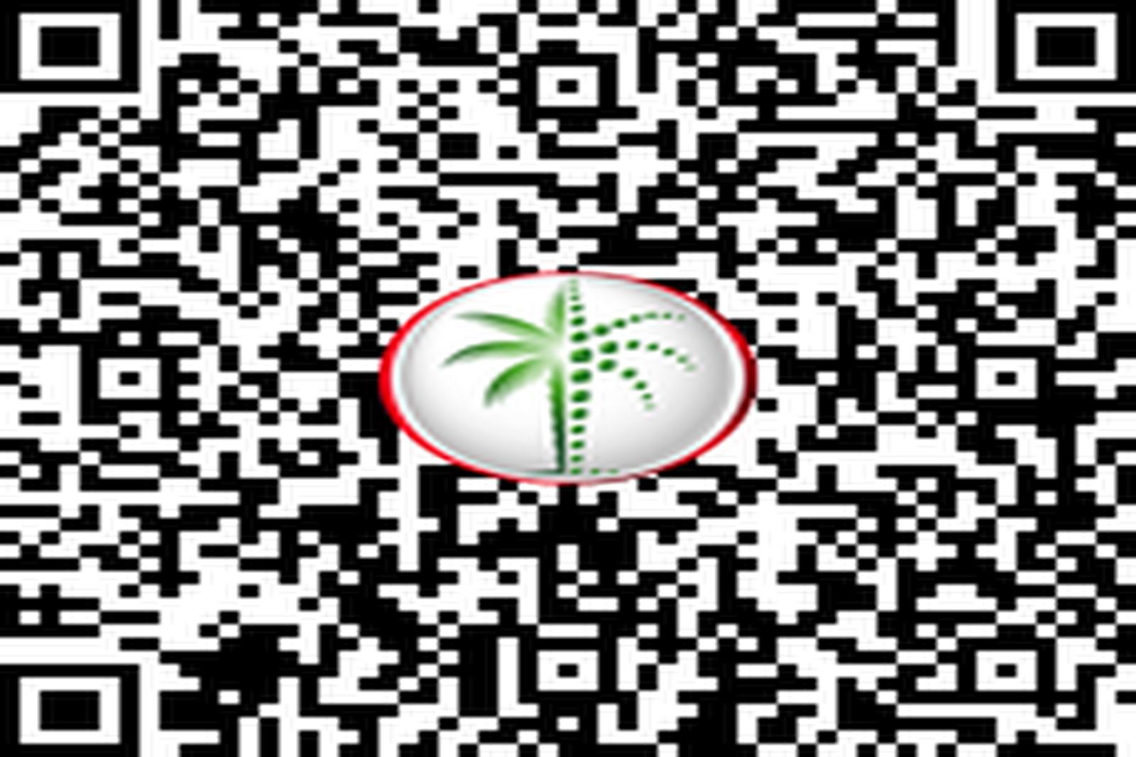 Palm Views | Corner Unit | High floor