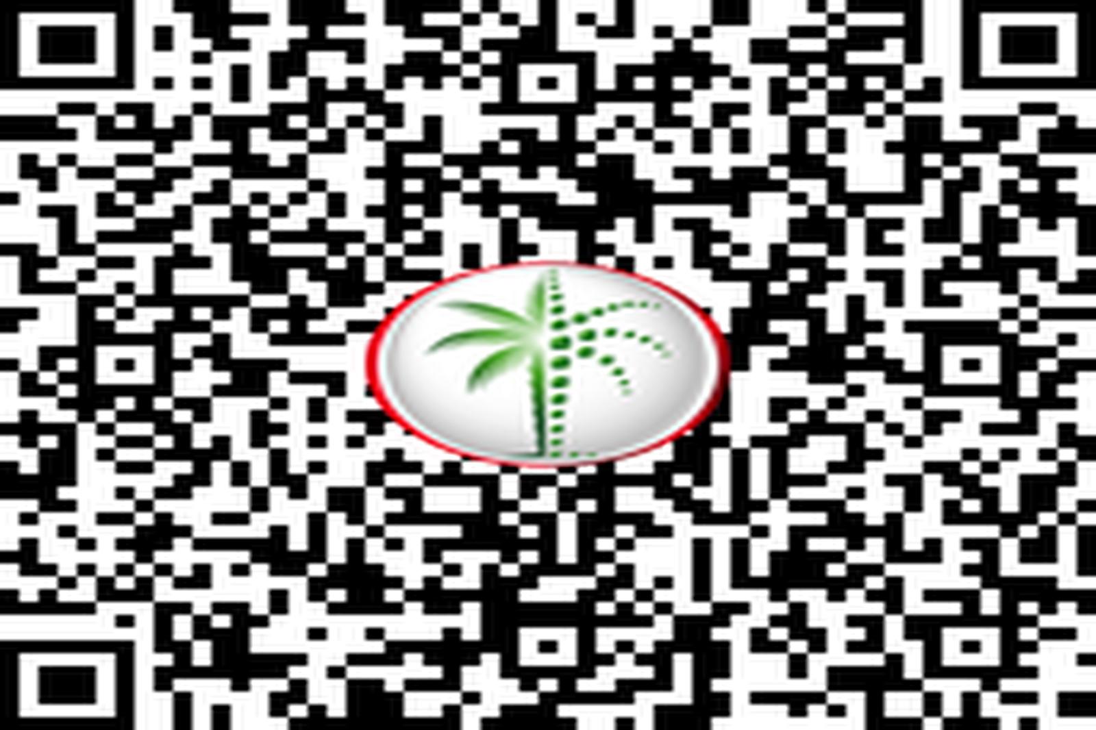 Branded Residences | Burj Khalifa View | Iconic