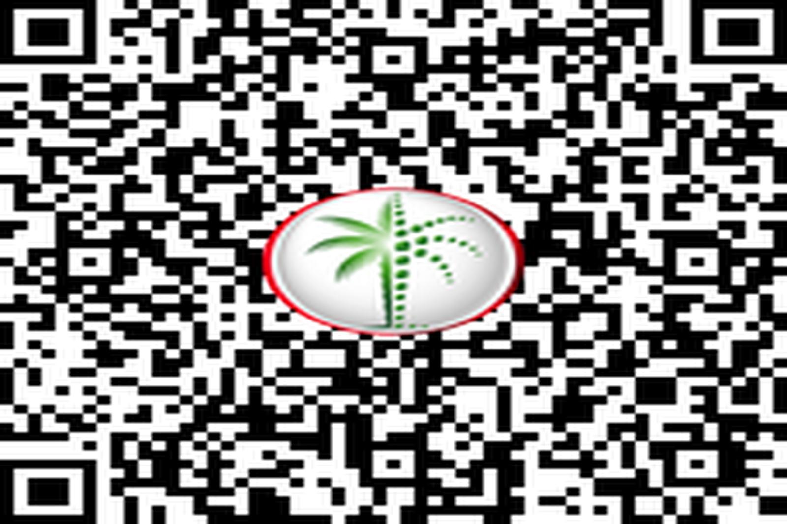 Burj Khalifa View | Branded By Mercedes | Luxury