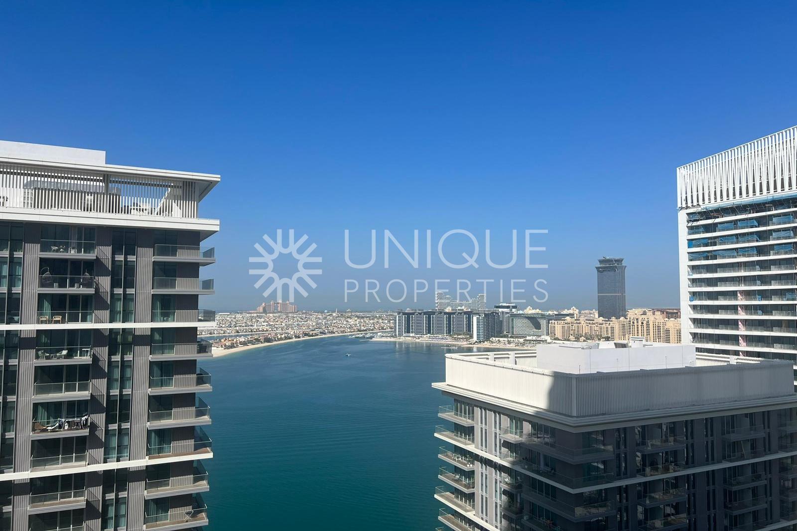 PALM VIEW | LARGE LAYOUT | OPTIONS AVAILABLE