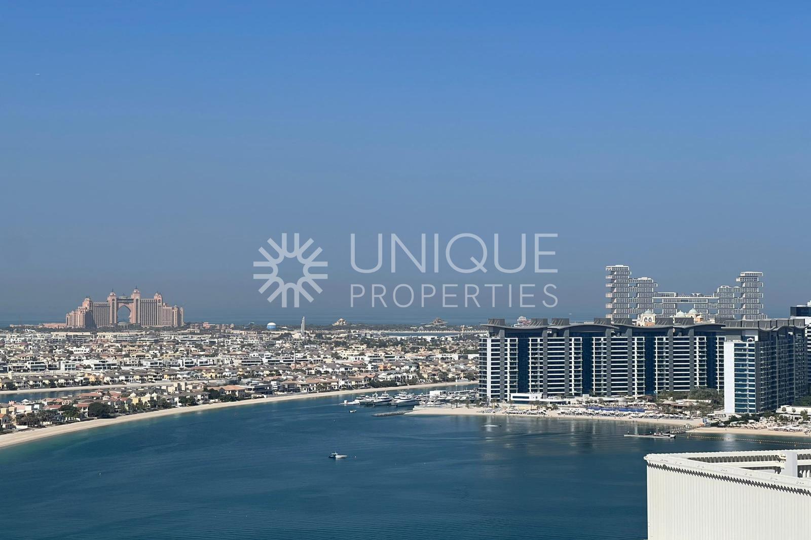 PALM VIEW | LARGE LAYOUT | OPTIONS AVAILABLE